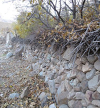 طبیعت نقوسان