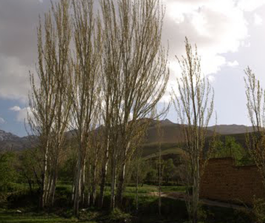 نقوسان